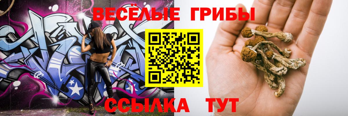 Псилоцибиновые грибы мухоморы  Псилоцибиновые грибы Psilocybe  Вход с VPN  Семёнов 